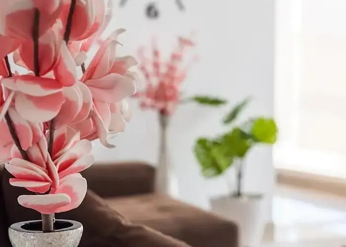 Peak Of Arguineguin Ocean View Appartement *